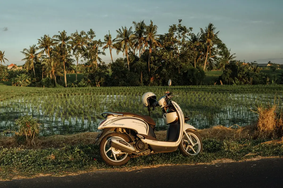Scooter parked beside a Bali rice field