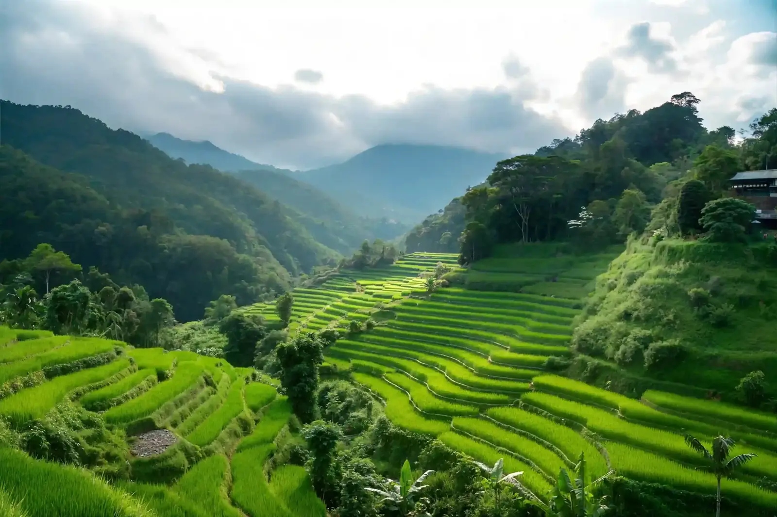 Bali Trip Duration – 5, 7, 10 And 14 Day Plans